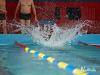 zawody-plywackie0027