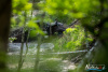 1517IMG_6367_wynik