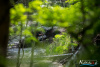 1517IMG_6368_wynik
