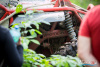 1522IMG_6401_wynik