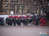 1043img_3443_11_11_2015