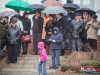 1043img_3447_11_11_2015
