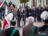 1056img_3517_11_11_2015