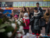 1122img_3641_11_11_2015