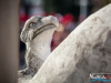 1144img_9605_wynik