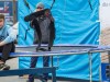 1239img_1460