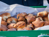 1234img_5809