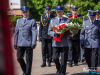 1129img_8761