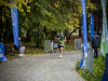 1111IMG_0050_wynik