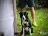 1154IMG_7127_wynik