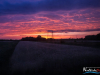 2058img_5048