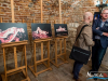 1720img_8329_04_11_2016