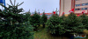 20211211_135957_wynik