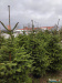 lidl-2023_wynik