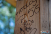 1324IMG_9126_wynik