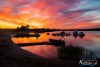 0537IMG_7409