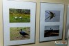 IMG_3568