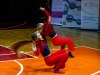 1353IMG_7358