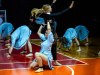 1406IMG_7388