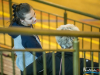 1047img_3506
