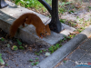 1438img_9191