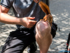 1438img_9216