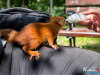 1439img_9231