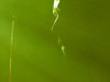0025