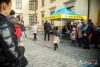 1233IMG_4674_wynik