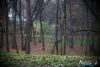 1304IMG_4891_wynik