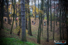 1304IMG_4905_wynik