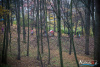 1305IMG_4911_wynik