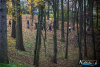 1305IMG_4913_wynik
