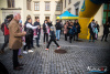 1309IMG_4974_wynik