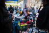 1325IMG_5277_wynik