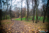 1349IMG_5383_wynik