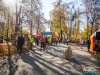 1245img_0912