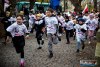 IMG_8201_wynik