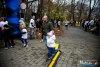 IMG_8352_wynik
