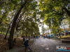 1241img_7057