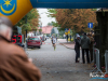 1156img_8704