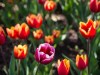 betiimg_6159