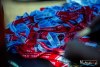 HMIMG_5529