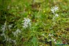 1206IMG_4566