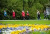 1239IMG_4639