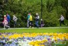 1239IMG_4645