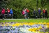 1239IMG_4646