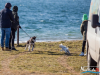 1101img_8613_02_07_2016
