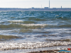 1111img_8614_02_07_2016