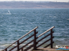 1142img_8656_02_07_2016